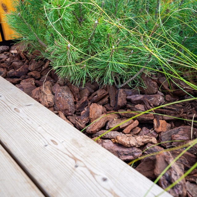 Scoarta decorativa de pin 4-10 cm 50L by Gradina Noastra