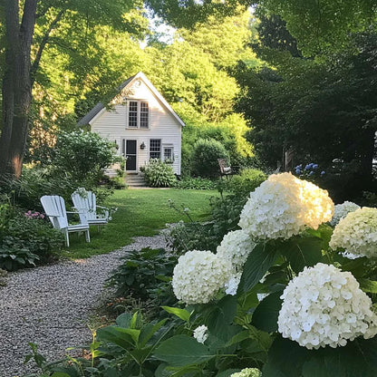 Hortensia "Strong Annabelle" / Hydrangea arborescens "Strong Annabelle"/