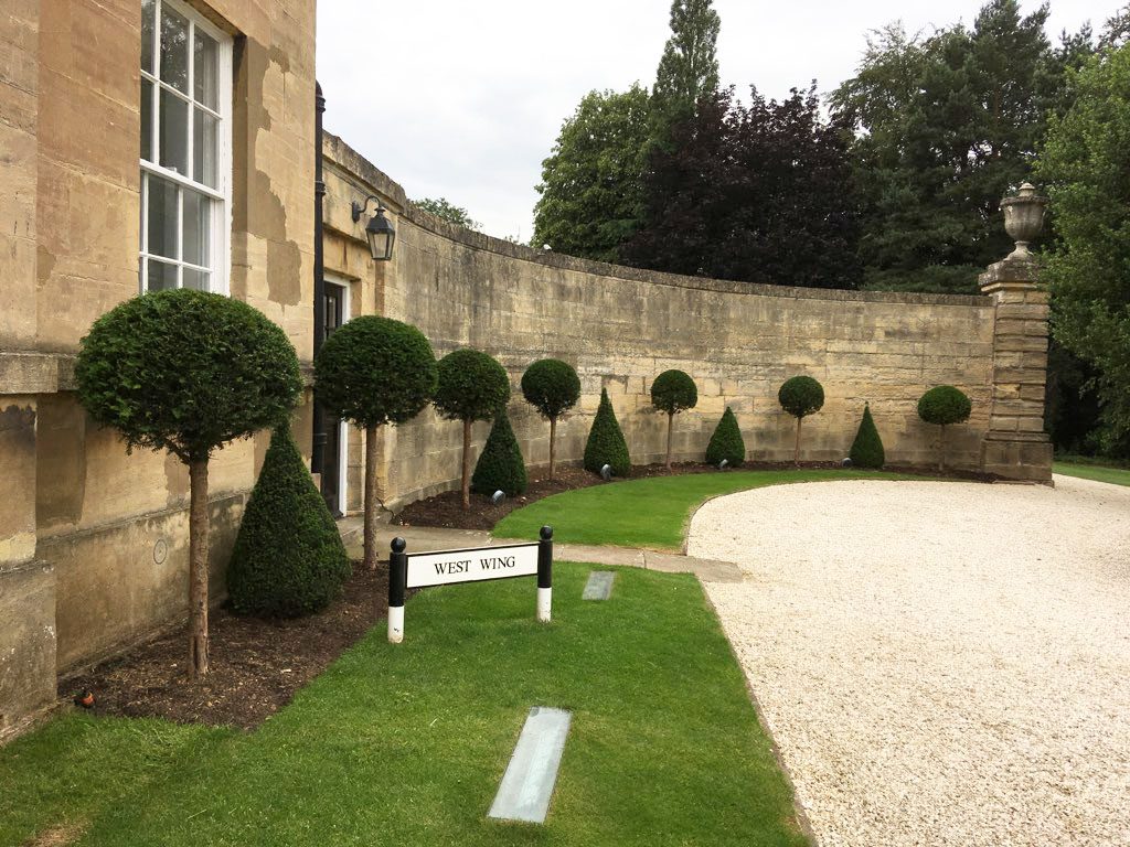 Tisa piramida / Taxus baccata /