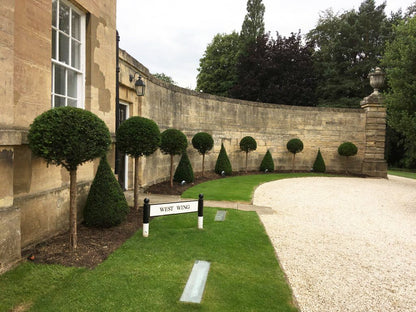 Tisa piramida / Taxus baccata /