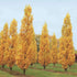 products/1225.jpg