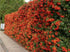 products/573.jpg