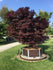 products/753_1a47a310-4662-4a8d-8af3-8e1c1a285576.jpg