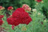 products/images_e5d0cdc8-aab4-4e29-9138-1835dbd8be9d.jpg